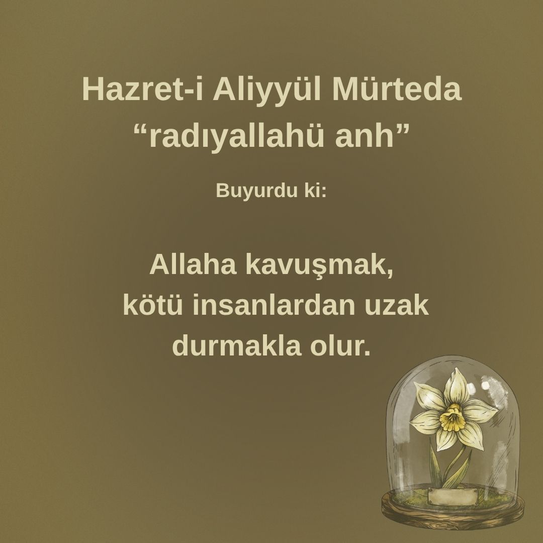 Aliyyül Mürteda (49)